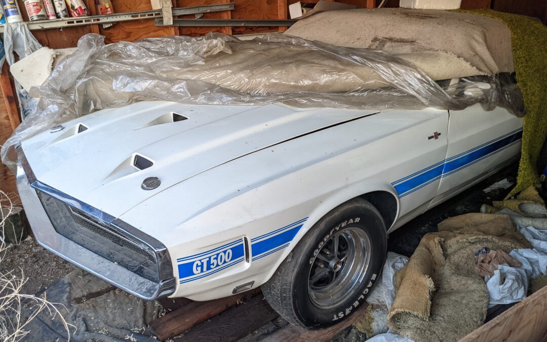 Snakes in a Barn – 1969 Shelby GT500